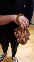 Bild 5/5