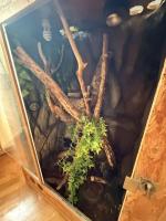 Bild 8/13