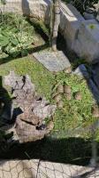 Bild 6/6