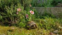 Bild 5/6