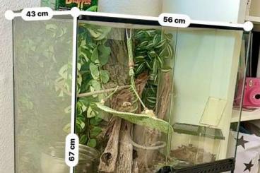 Enclosures kaufen und verkaufen Photo: Terrarium mit Leuchte - für kleinere Reptilien - Göße ca. 70x45x60 cm Enclosures kaufen und verkaufen Photo: Terrarium mit Leuchte - für kleinere Reptilien - Göße ca. 70x45x60 cm