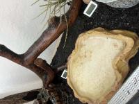 Bild 7/7