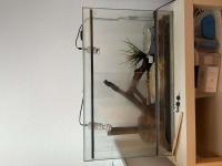 Bild 3/7