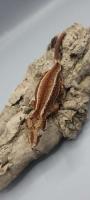 Bild 7/8