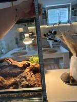 Bild 4/6