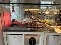 Bild 5/6