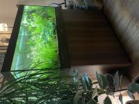 Bild 3/7