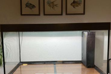 Aquarien kaufen und verkaufen Foto: Juwel Rio 350 Aquarium mit passendem Unterschrank Aquarien kaufen und verkaufen Foto: Juwel Rio 350 Aquarium mit passendem Unterschrank