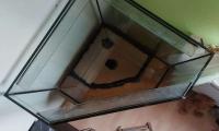 Bild 5/6