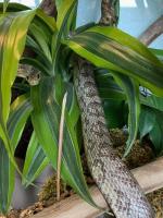 Bild 7/7