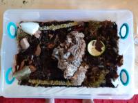 Bild 15/17