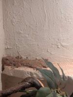 Bild 6/6