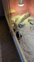 Bild 6/7