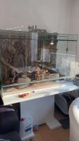 Bild 2/6