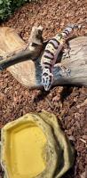 Bild 5/7