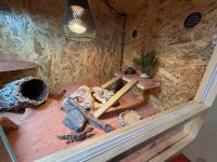 Bild 15/18