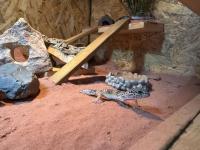Bild 2/18