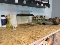 Bild 13/18