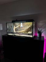 Bild 4/7