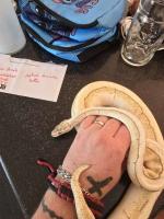 Bild 5/9