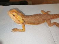 Bild 9/9