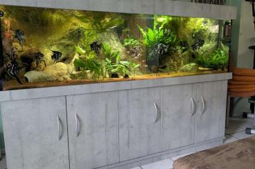Aquarien kaufen und verkaufen Foto: Verkaufe Back to Nature Aquarium Aquarien kaufen und verkaufen Foto: Verkaufe Back to Nature Aquarium