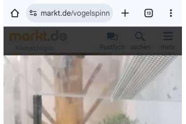 Vogelspinnen kaufen und verkaufen Foto: Vogelspinne inkl. Terrarium und Heizmatte Vogelspinnen kaufen und verkaufen Foto: Vogelspinne inkl. Terrarium und Heizmatte