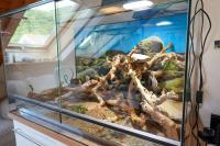 Bild 8/8