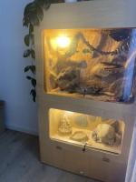 Bild 6/7