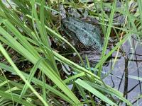 Bild 9/9