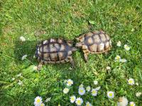 Bild 5/5