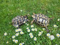 Bild 5/5