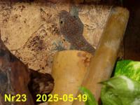 Bild 7/8