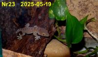 Bild 8/8