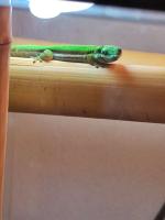 Bild 2/2