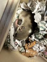 Bild 5/7