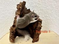 Bild 5/5