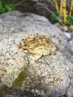 Bild 4/27