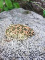 Bild 5/27