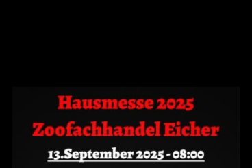 Pythons kaufen und verkaufen Foto: Hausmesse 2025 Hausmesse .2025 