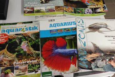 Books & Magazines kaufen und verkaufen Photo: Diverse Zeitungen Ophodia Sekretär Arachne