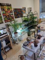 Bild 7/8