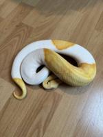 Bild 6/13