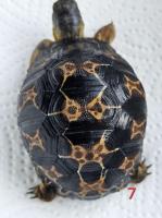 Bild 7/8