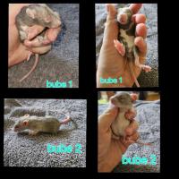 Bild 6/10