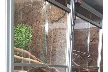 Enclosures kaufen und verkaufen Photo: Alu - Terrarien komplett eingerichtet Enclosures kaufen und verkaufen Photo: Alu - Terrarien komplett eingerichtet