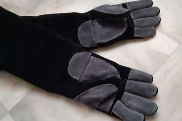 Schlangen kaufen und verkaufen Photo: Schutzhandschuhe , Schlangenhandschuhe , Schlangen kaufen und verkaufen Photo: Schutzhandschuhe , Schlangenhandschuhe ,