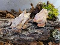 Bild 16/100