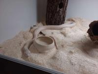 Bild 2/8