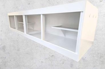 Enclosures kaufen und verkaufen Photo: Jetzt 12 Prozent Rabatt auf alle XXL-Terrarien sichern Enclosures kaufen und verkaufen Photo: Jetzt 12 Prozent Rabatt auf alle XXL-Terrarien sichern